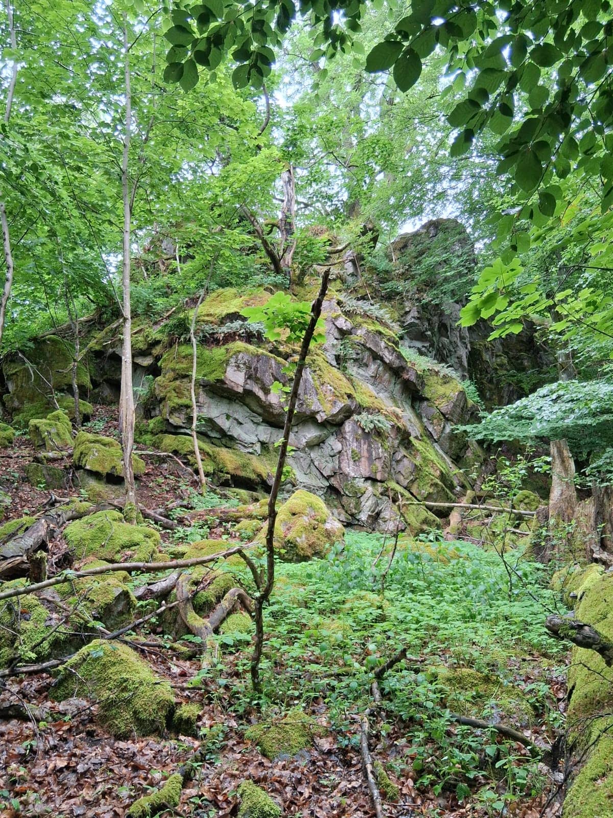 6b