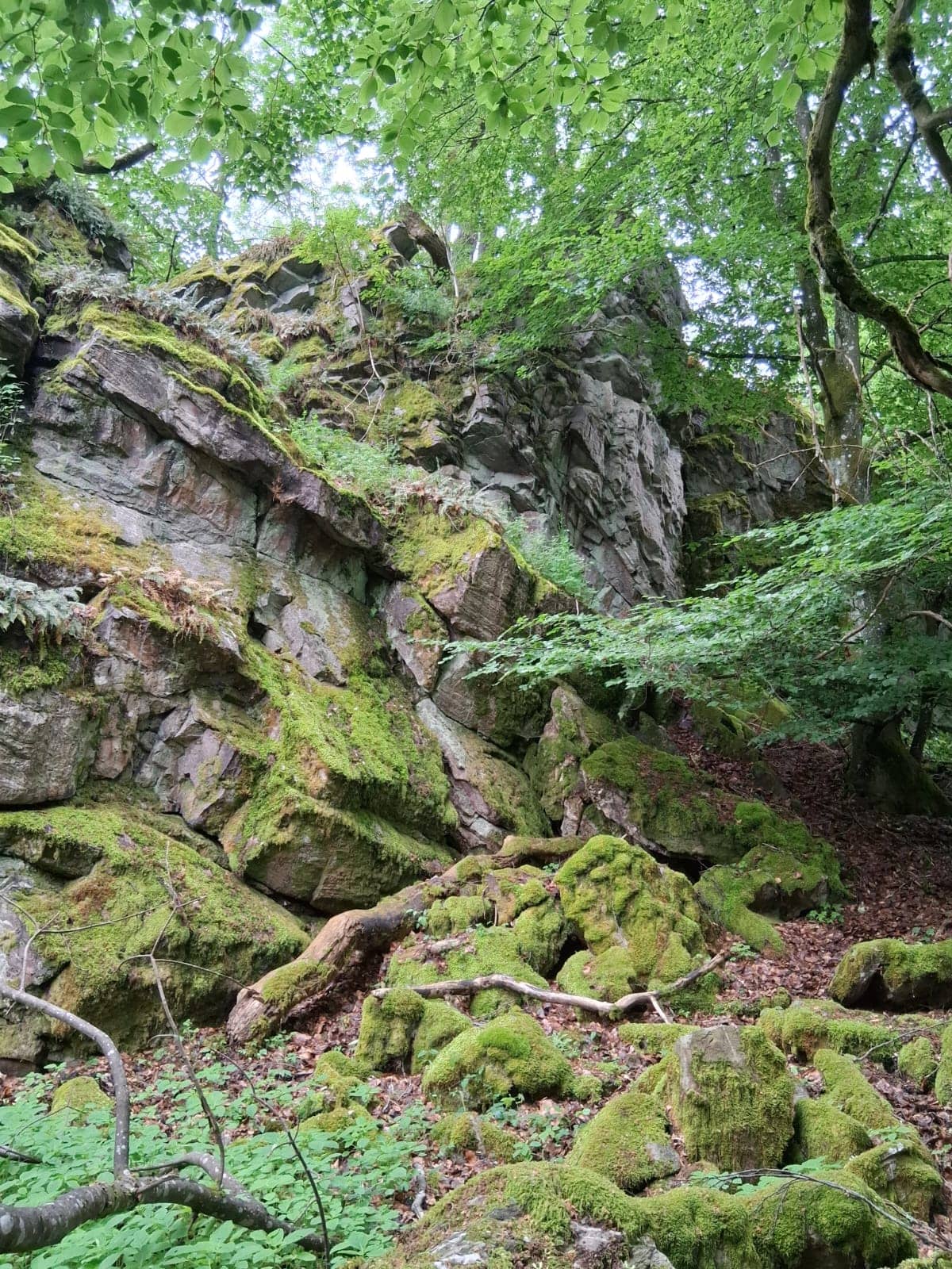 6c